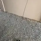 للبيع انتل طول متر وعليها الموقع بيشه