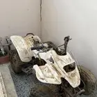 دباب