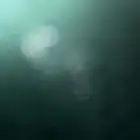 مطلوب. دور للايجار