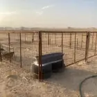 درف الإبل للبيع