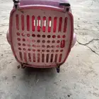 صندوق قطط لبيع