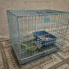 قفص قطه