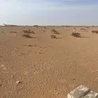 للبيع ارض في مخطط الخير 3540 ب700 الف ريال