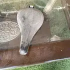 مرتبة رامبو صغيره وكاله