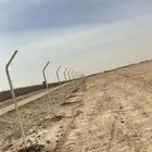 مقاول شبوك