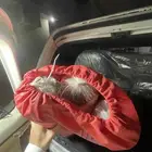 مدات رياش اصدار الصقور