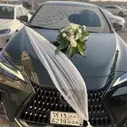 تشريع سيارات العرسان في الموقع