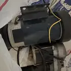 دينمو سير جري