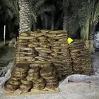 تمر علف