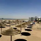 خيزران البامبو الأفريقي والأندونيسي بوهو