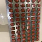 ترانسفير التوت