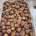 تمر سكري الرياض