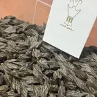 عود كمبودي تايقر الدرجة الاولى