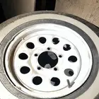 جنوط سوزوكي