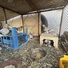 حمام تركي للبيع