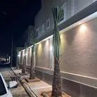 نخل زينه واشنطن مشتل