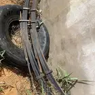 سست شاص 8 ريش