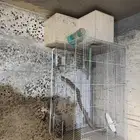 للبيع زوج دره هندي