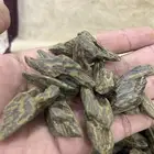 عود كلمنتان طبيعي محسن فاخر