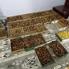 تمر سكري و برحي خام