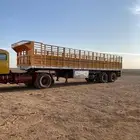 تيدر كنف الاصلي