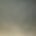 لي عنده كلب للتبني يكلمني