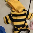 ادوات و العاب ومنزل للقطط