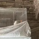 اجواز روز