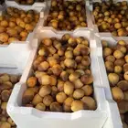 للبيع روثانه المدينة