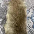 جلد طبيعي لحيوان الوباره (فائر الجبل)