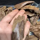عود مروكي اصقون قديم تريبل كنج ثقيل