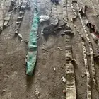 حبال مشكلة