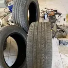 كفرات رودكس صيني