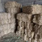 أعلاف تبن بالبنك