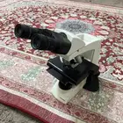 مجهر