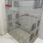 قفص