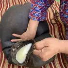 سمن غنم بري على شرط