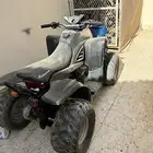 دباب تايواني