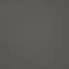 قطط ابي بسه للتبني اهم شي مطعمه