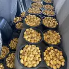 خلاص الحوطه متواجد في الشفا
