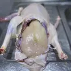 وز للبيع