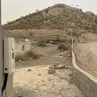 كامري