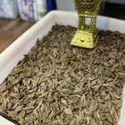 عود كمبودي تايقر طبيعي محسن ملكي (جمله)