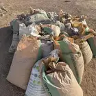 سماد بلدي غنم وخيل مجاني