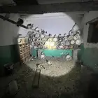 حمام بكستاني للبيع جملة العدد فوق 60 مع الفروخ