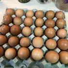 بيض لوهمن مائدة