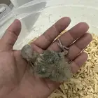 للبيع فيشر غر ب 50 و 70 تم البيع