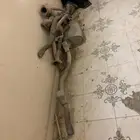 قزوز وكاله شاص 2018