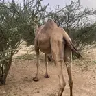 اذكروا الله وصلوا على النبي