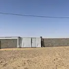 حوش بالهجن 50ب50